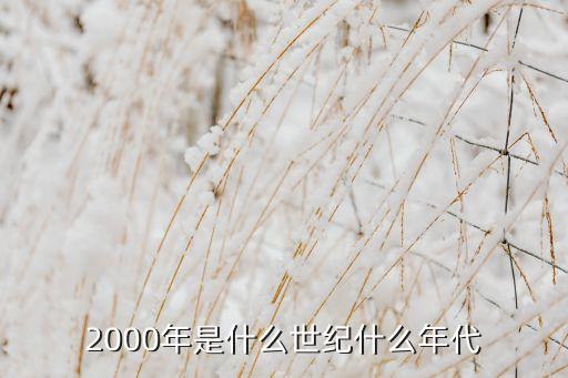 2000年是什么世紀(jì)什么年代