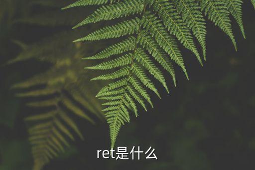 RET指令，ret是什么
