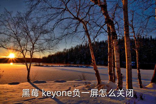 黑莓keyone，本人是個(gè)霉粉想問一下有沒有人用過黑莓KEYone好不好用