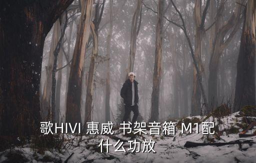 惠威M1，惠威音箱老m1和新m1那個(gè)好