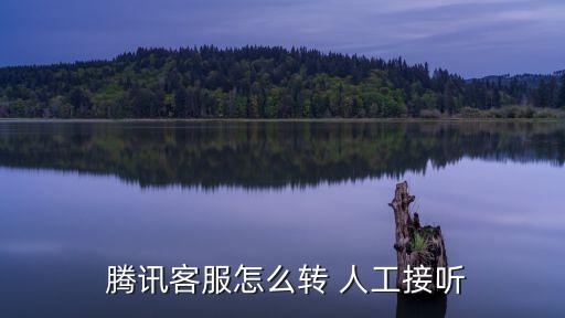 騰訊人工
