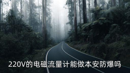 220V的電磁流量計(jì)能做本安防爆嗎