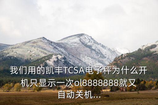 電子秤圖片,托利多rloo電子秤打印東西模糊?不影響使用