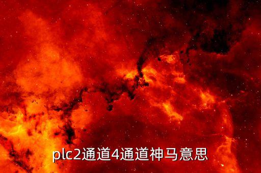 plc2通道4通道神馬意思