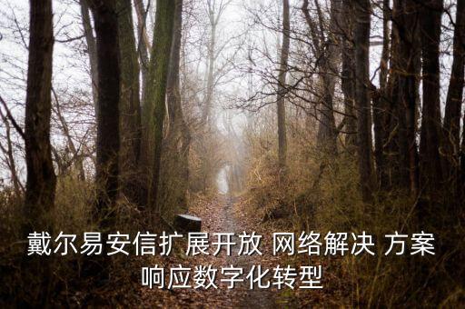 戴爾易安信擴(kuò)展開放 網(wǎng)絡(luò)解決 方案響應(yīng)數(shù)字化轉(zhuǎn)型