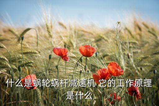 什么是蝸輪蝸桿減速機(jī) 它的工作原理是什么