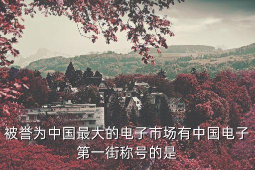 電子街，被譽(yù)為中國(guó)最大的電子市場(chǎng)有中國(guó)電子第一街稱號(hào)的是
