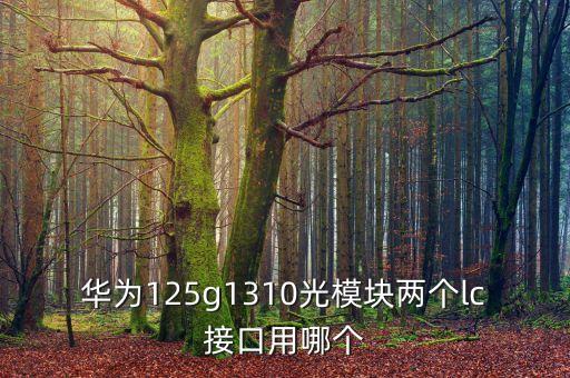 華為光模塊，華為125g1310光模塊兩個lc接口用哪個
