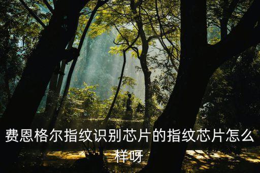 費(fèi)恩格爾指紋識(shí)別芯片的指紋芯片怎么樣呀