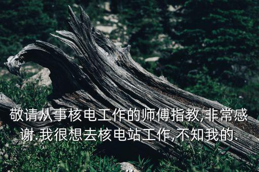 西安電氣自動(dòng)化技術(shù)招聘,關(guān)于電氣自動(dòng)化技術(shù)專(zhuān)業(yè)的招聘公司