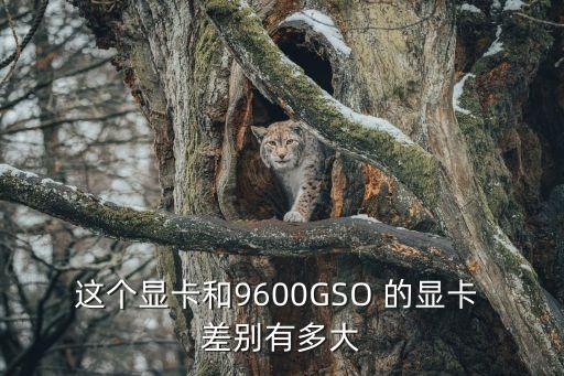 這個(gè)顯卡和9600GSO 的顯卡 差別有多大