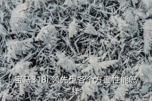 寶馬318i 領(lǐng)先型各個(gè)方面性能怎樣