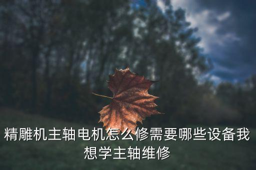 精雕機(jī)主軸電機(jī)怎么修需要哪些設(shè)備我想學(xué)主軸維修