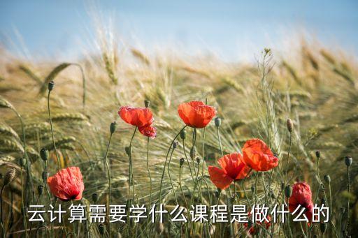 云計(jì)算與大數(shù)據(jù)要學(xué)啥,大數(shù)據(jù)和云計(jì)算有哪些不同?