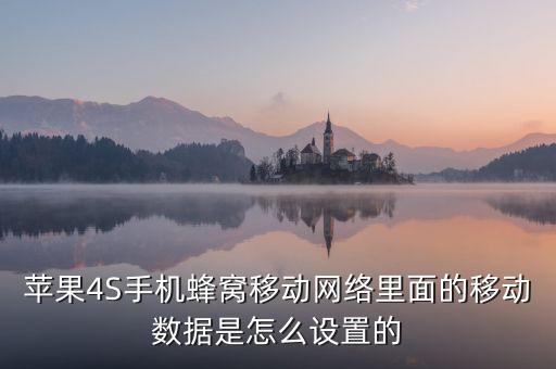 蘋果4S手機(jī)蜂窩移動(dòng)網(wǎng)絡(luò)里面的移動(dòng)數(shù)據(jù)是怎么設(shè)置的