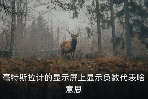 毫特斯拉計(jì)的顯示屏上顯示負(fù)數(shù)代表啥意思