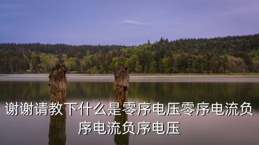 謝謝請教下什么是零序電壓零序電流負(fù)序電流負(fù)序電壓