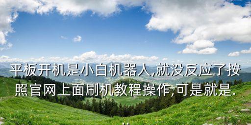 平板開機是小白機器人,就沒反應了按照官網(wǎng)上面刷機教程操作,可是就是...