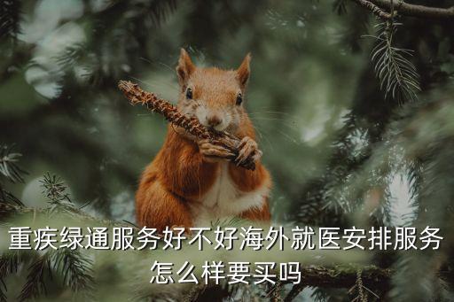 重疾綠通服務好不好海外就醫(yī)安排服務怎么樣要買嗎