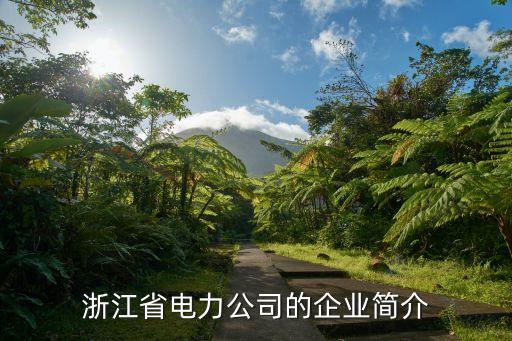 浙江省電力公司的企業(yè)簡介