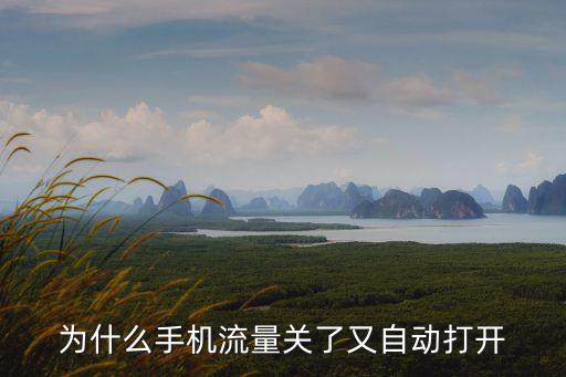 為什么手機(jī)流量關(guān)了又自動(dòng)打開