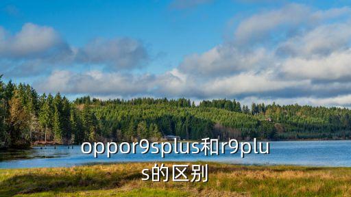 oppor9splus和r9plus的區(qū)別