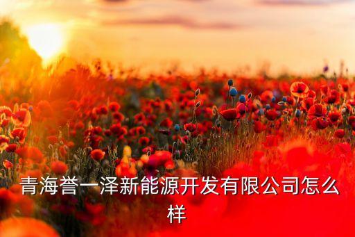  青海譽(yù)一澤新能源開(kāi)發(fā)有限公司怎么樣