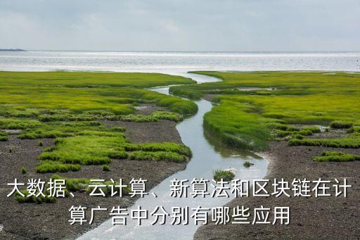 大數(shù)據(jù)、云計算、新算法和區(qū)塊鏈在計算廣告中分別有哪些應用