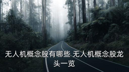無(wú)人機(jī)概念股，無(wú)人機(jī)概念股有哪些