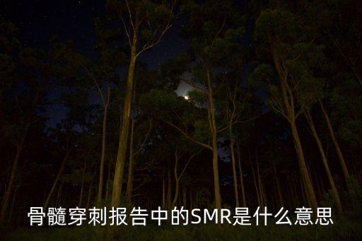 骨髓穿刺報告中的SMR是什么意思