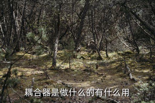 耦合器是做什么的有什么用