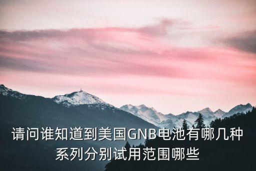 請問誰知道到美國GNB電池有哪幾種系列分別試用范圍哪些
