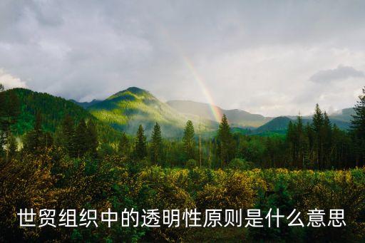 透明性，世貿組織中的透明性原則是什么意思