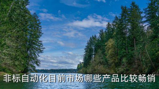 非標(biāo)自動(dòng)化目前市場(chǎng)哪些產(chǎn)品比較暢銷