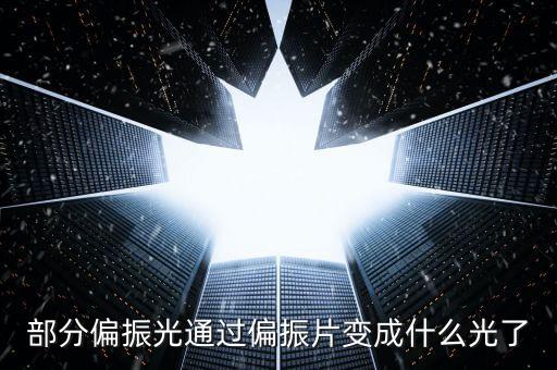 部分偏振光通過偏振片變成什么光了