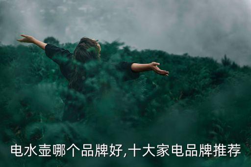 電水壺哪個品牌好,十大家電品牌推薦