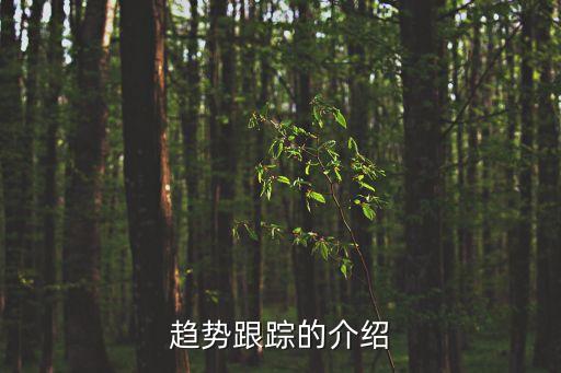 趨勢跟蹤的介紹