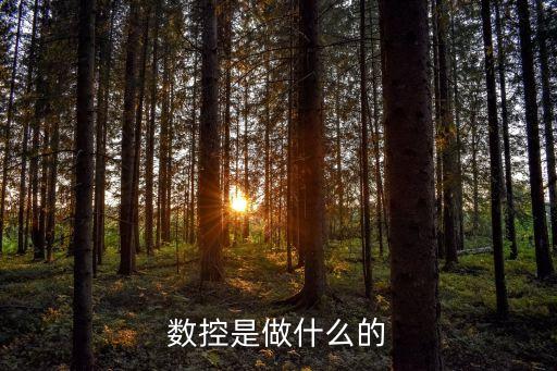 數(shù)控是做什么的