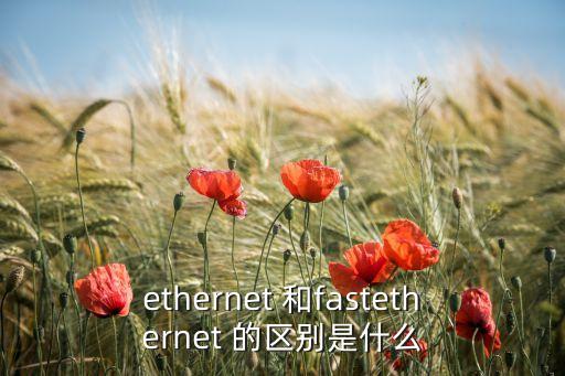 ethernet 和fastethernet 的區(qū)別是什么