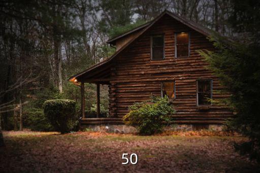 50