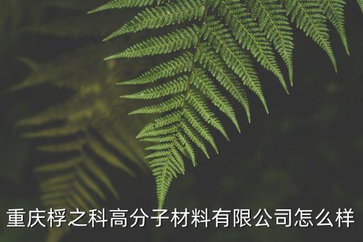 重慶桴之科高分子材料有限公司怎么樣
