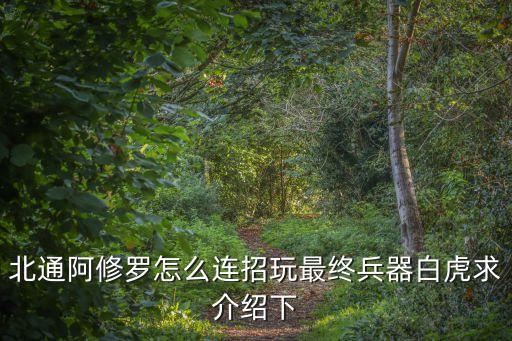 北通阿修羅怎么連招玩最終兵器白虎求介紹下
