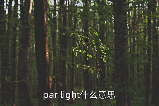 燈王，非誠勿擾 燈王到底帥成什么樣