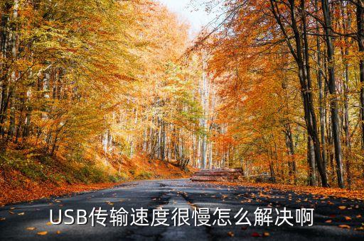USB傳輸速度很慢怎么解決啊
