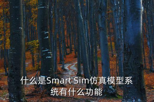 什么是Smart Sim仿真模型系統(tǒng)有什么功能