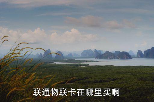 聯(lián)通物聯(lián)卡在哪里買啊