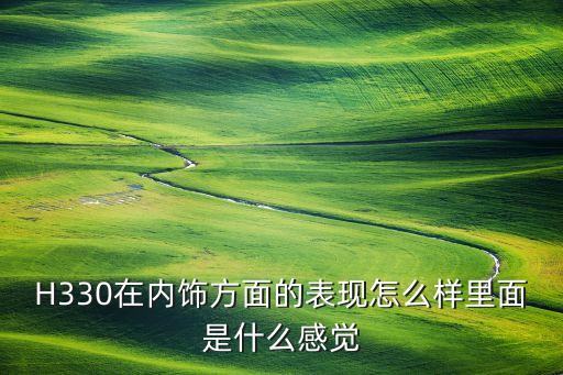 H330在內(nèi)飾方面的表現(xiàn)怎么樣里面是什么感覺(jué)