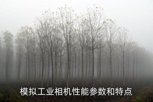 模擬工業(yè)相機(jī)性能參數(shù)和特點(diǎn)