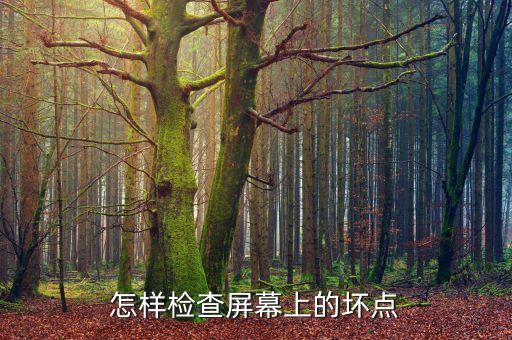 怎樣檢查屏幕上的壞點