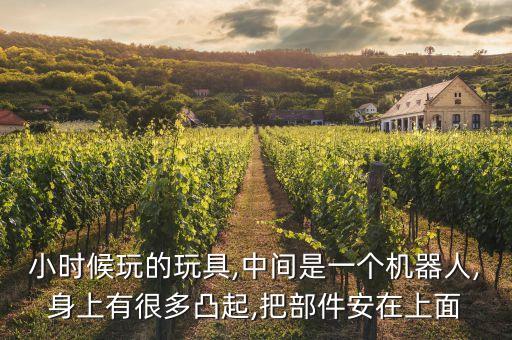 小時候玩的玩具,中間是一個機器人,身上有很多凸起,把部件安在上面